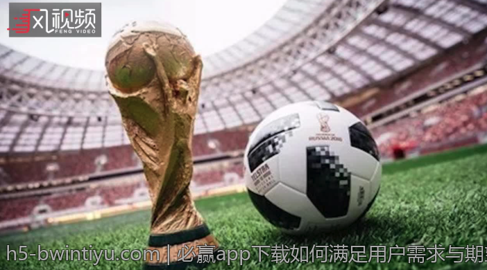 必赢app下载如何满足用户需求与期望